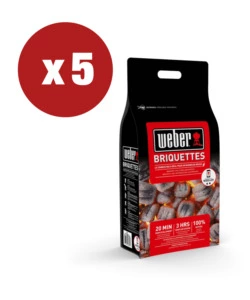 BRICCHETTI DI CARBONE WEBER PER BARBECUE 4KG X 5 PEZZI